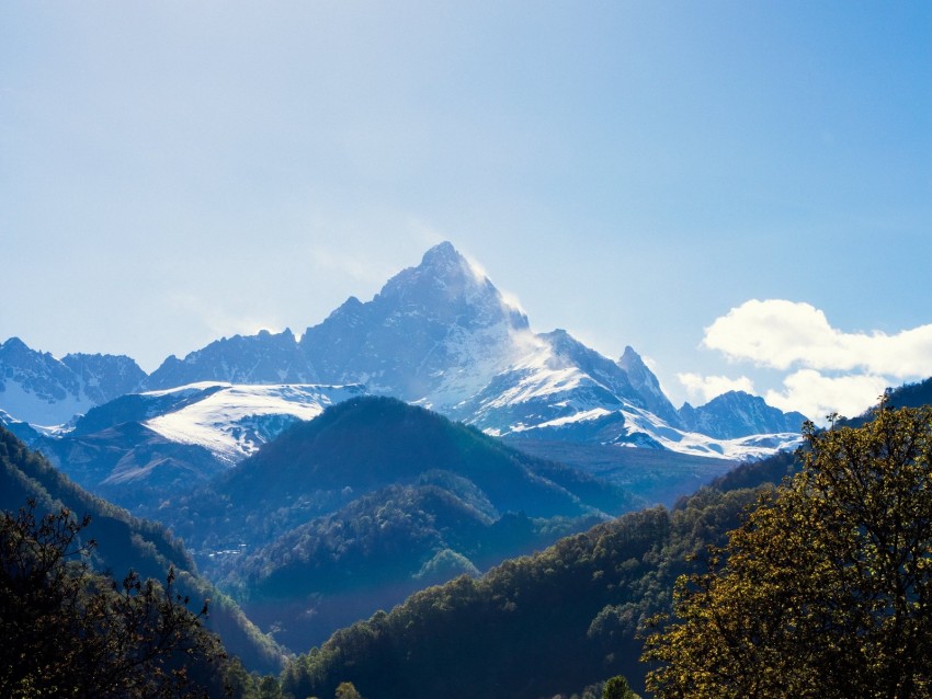 Mountains Forest Landscape Trees Peak Mountain Range Background