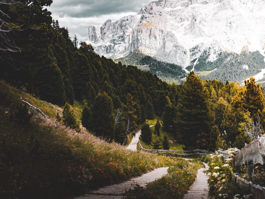 Mountains Forest Path Landscape Nature Background