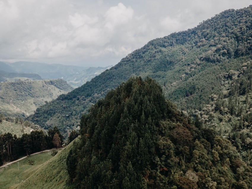 Mountains Forest Peaks Slopes Landscape Background