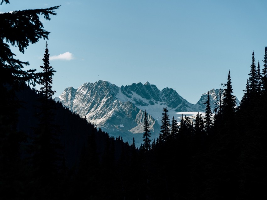 mountains, forest, shadow, contrast, dark