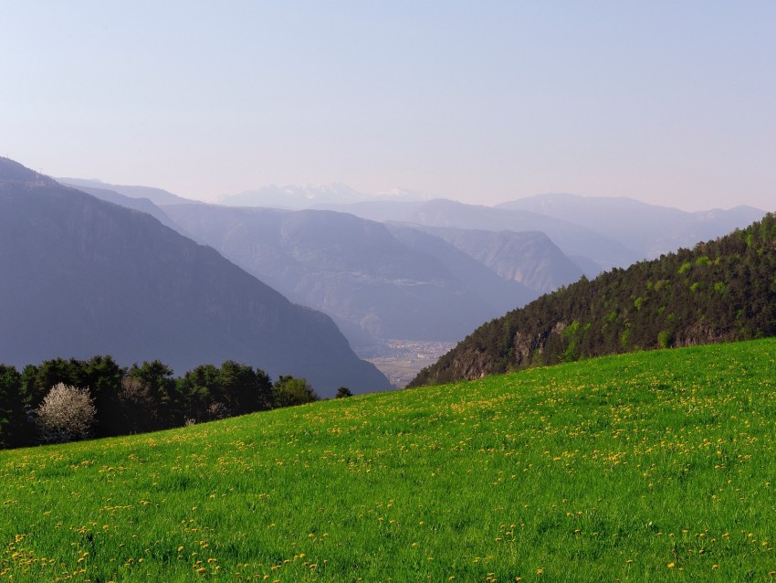 mountains, glade, grass, fog