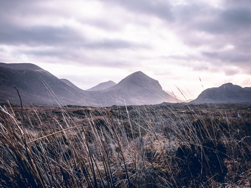 mountains, grass, landscape, clouds, fog, hilly