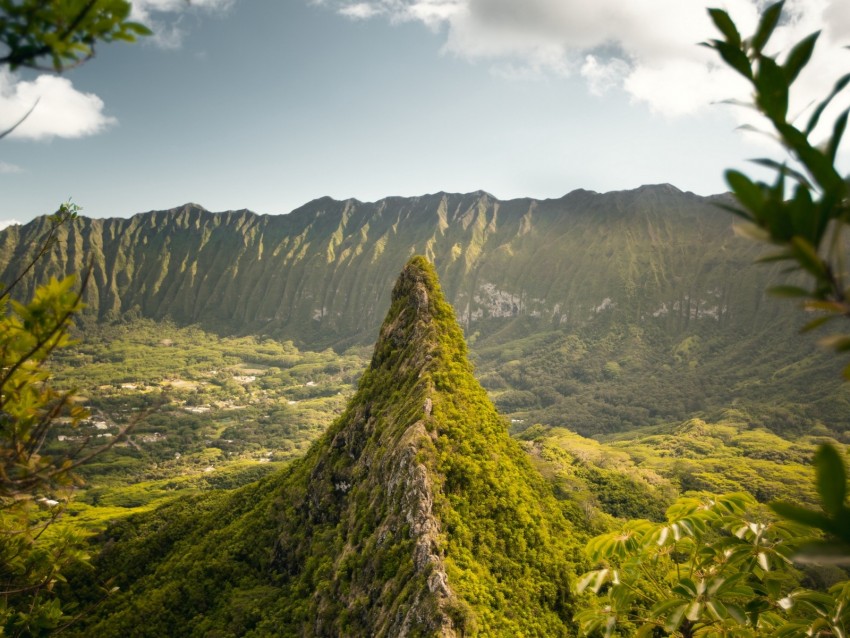 mountains, hill, grass, branches, sky