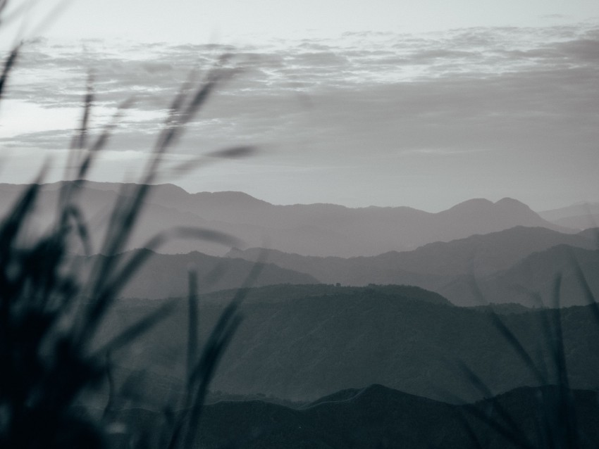 Mountains Hills Fog Grass Landscape Background