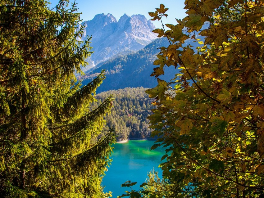 Mountains Lake Branches Tyrol Austria Background