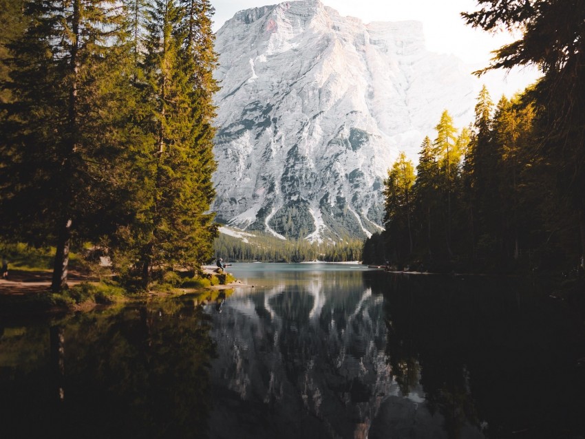 mountains, lake, forest, landscape, nature