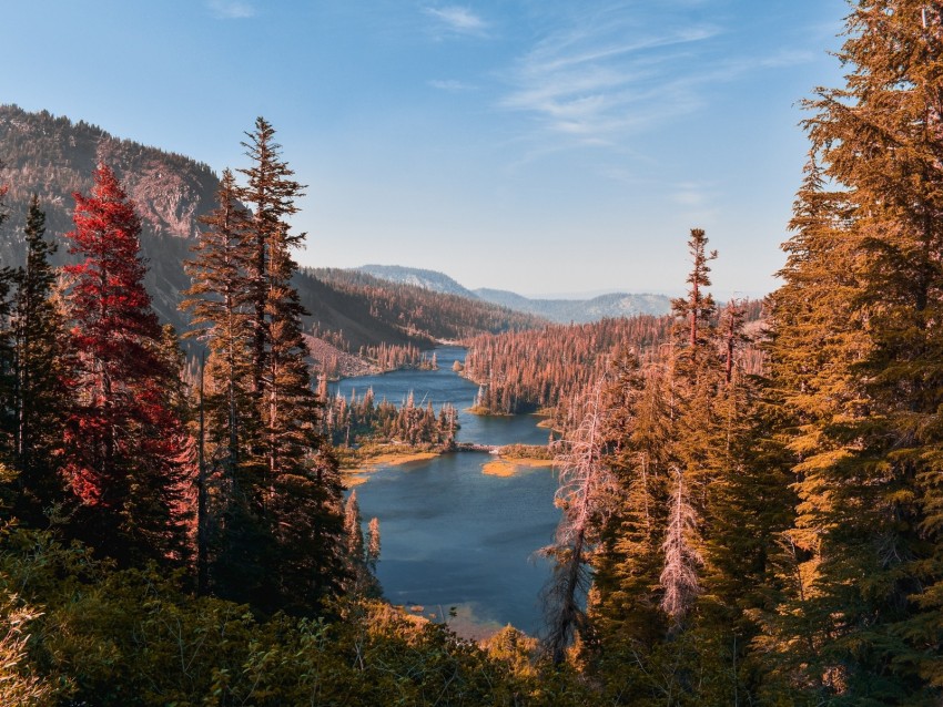 mountains, lake, landscape, needles, fir