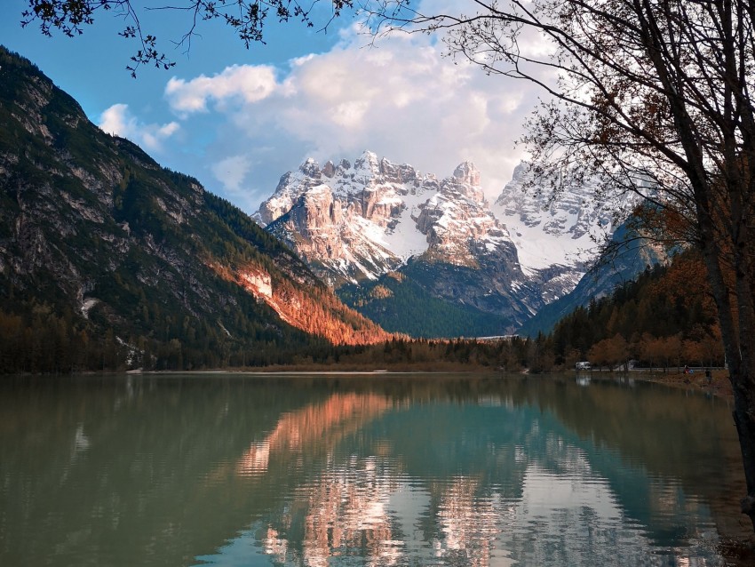 Mountains Lake Shore Forest Trees Background