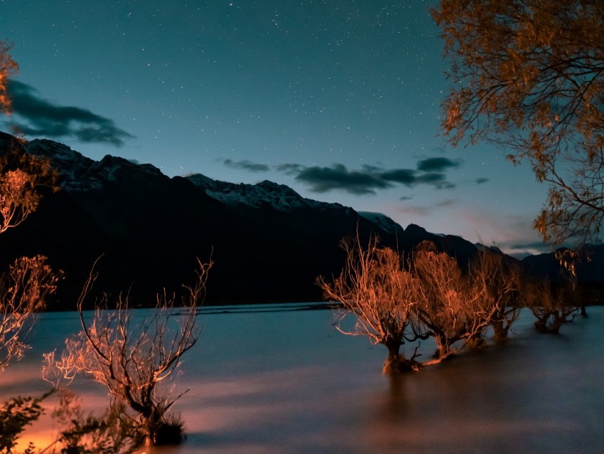 mountains, lake, trees, twilight, starry sky