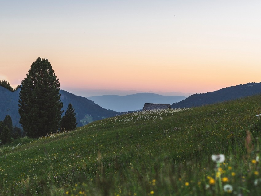 mountains, lawn, landscape, grass, trees