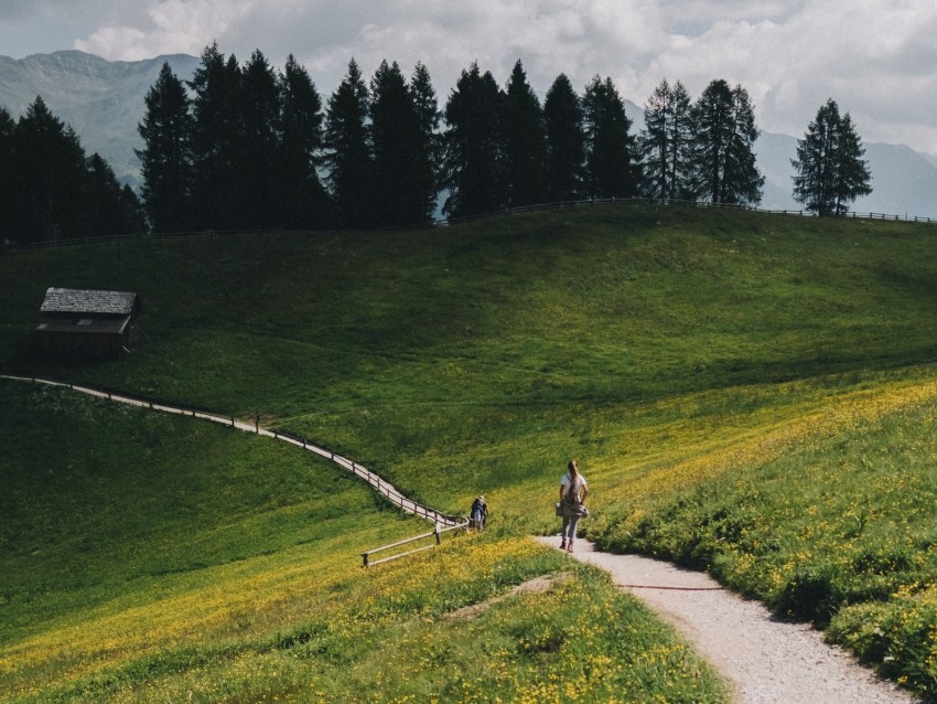 mountains, meadow, path, hills, trees, landscape