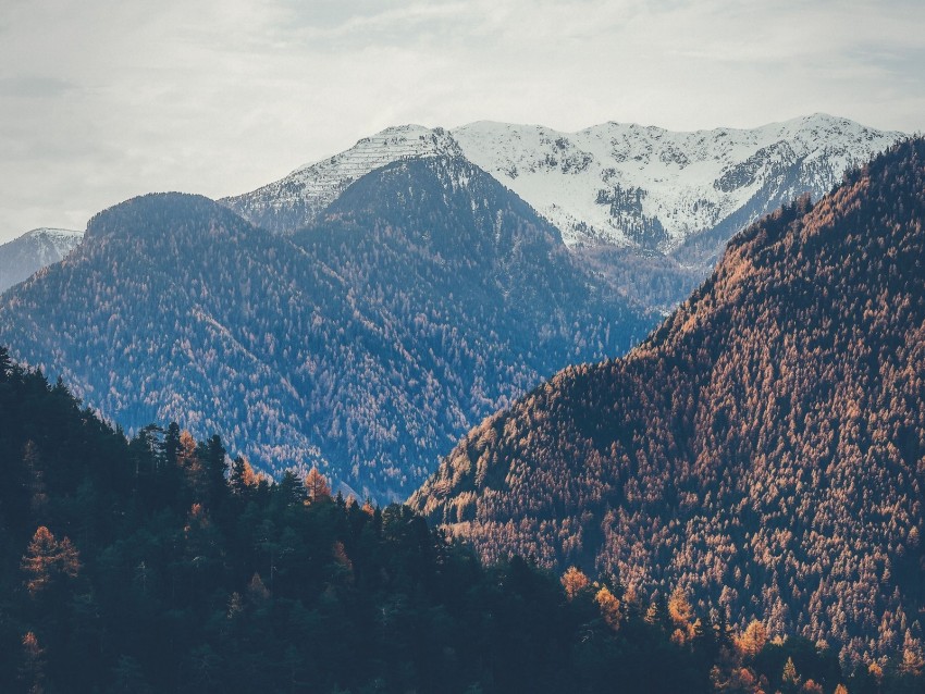 mountains, peaks, autumn, snowy, trees, sky