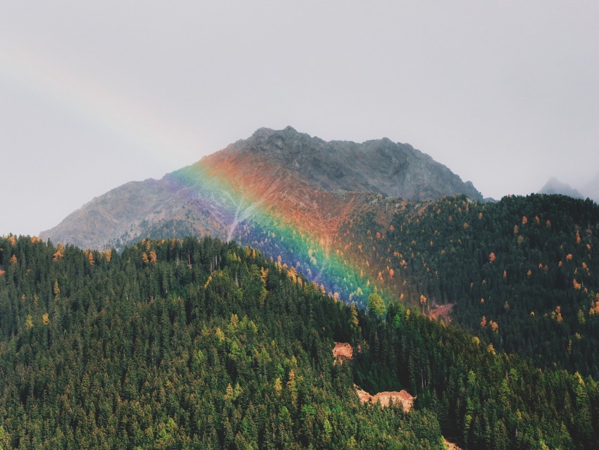 Mountains Rainbow Landscape Forest Trees Background