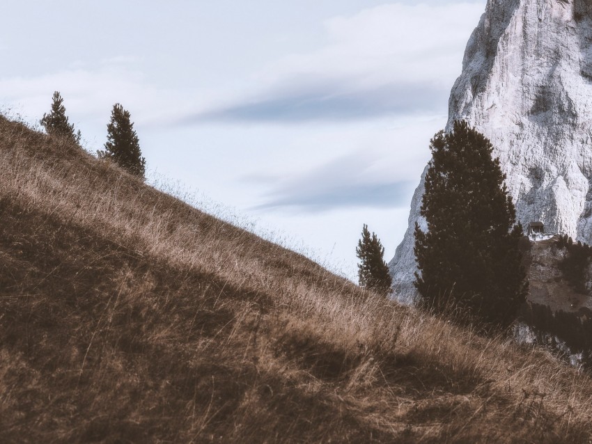 Mountains Rock Slope Trees Landscape Background