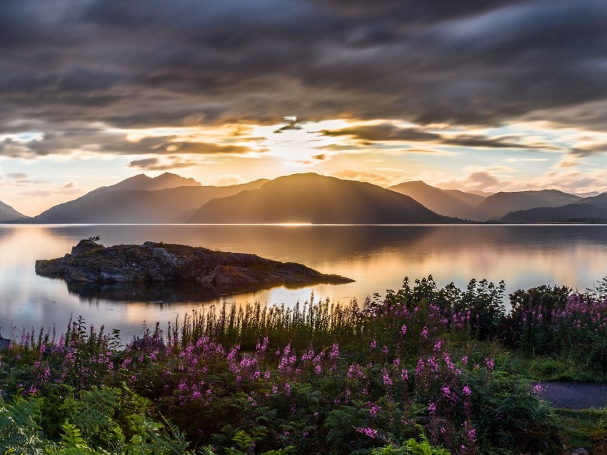 Mountains Sea Flowers Sunset Sky Background