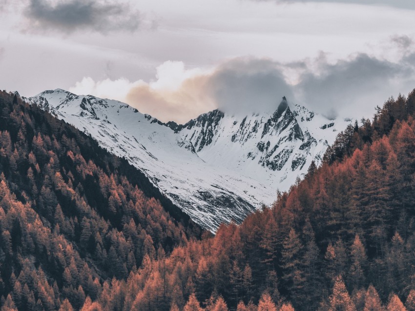 mountains, sky, clouds, trees, aerial view, snow, italy