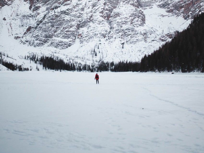 mountains, snow, landscape, trees, tourist