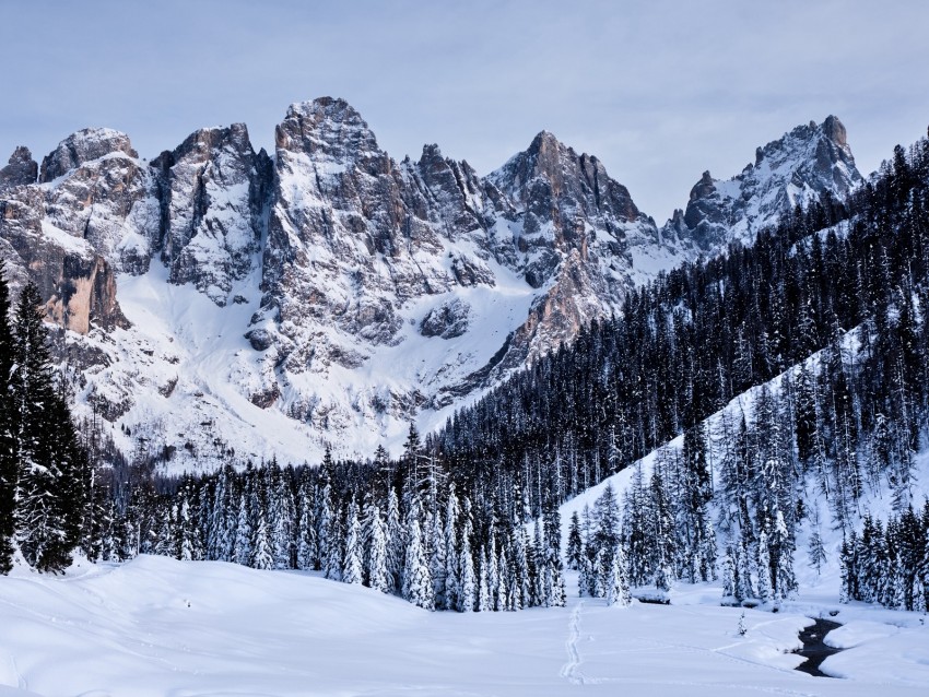 mountains, snow, snowy, trees, winter, italy