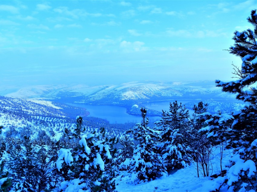 Mountains Snow Trees Winter Aerial View Background