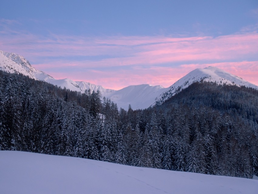 mountains, snow, winter, snowy, trees, mountain landscape, switzerland