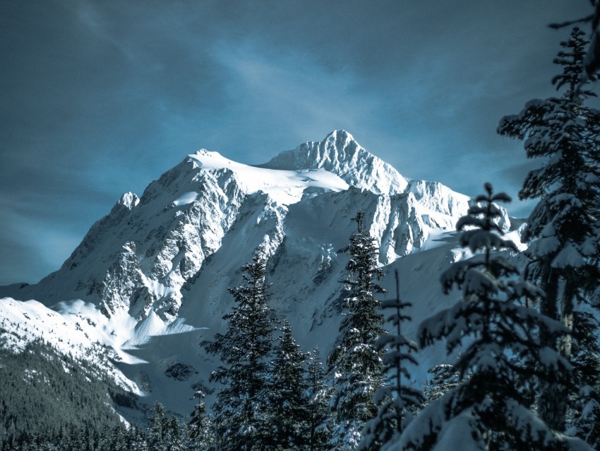 mountains, snowy, trees, forest, winter