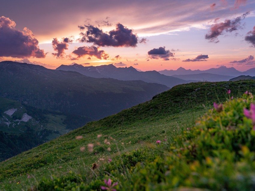 mountains, sunset, landscape, slopes, grass, flowers