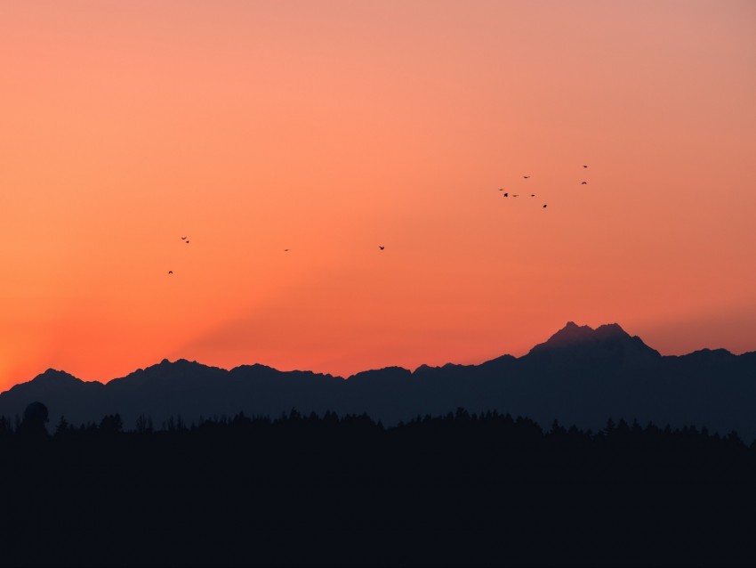 Mountains Sunset Outlines Birds Background