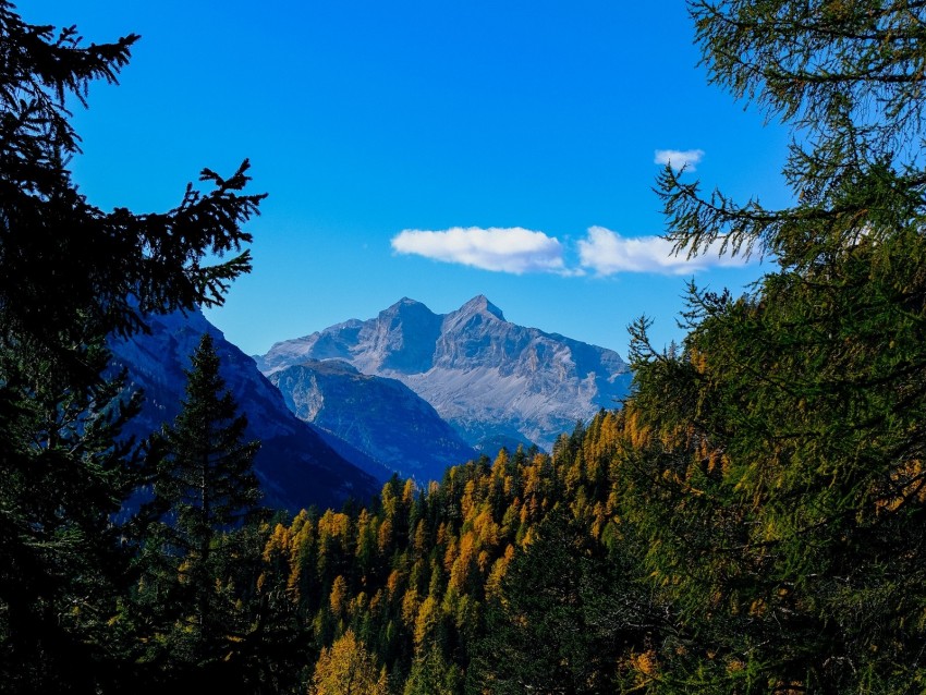 Mountains Trees Branches Overview Autumn Landscape Background