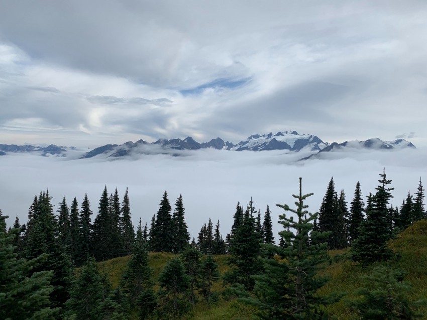 Mountains Trees Fog Clouds Landscape Background