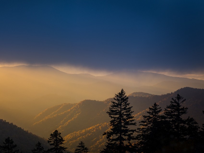 mountains, trees, fog, clouds, tops