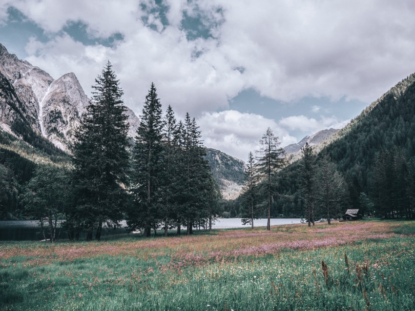 Mountains Trees Landscape Italy Background