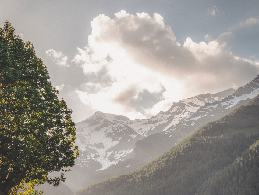 mountains, trees, landscape, slopes, peaks