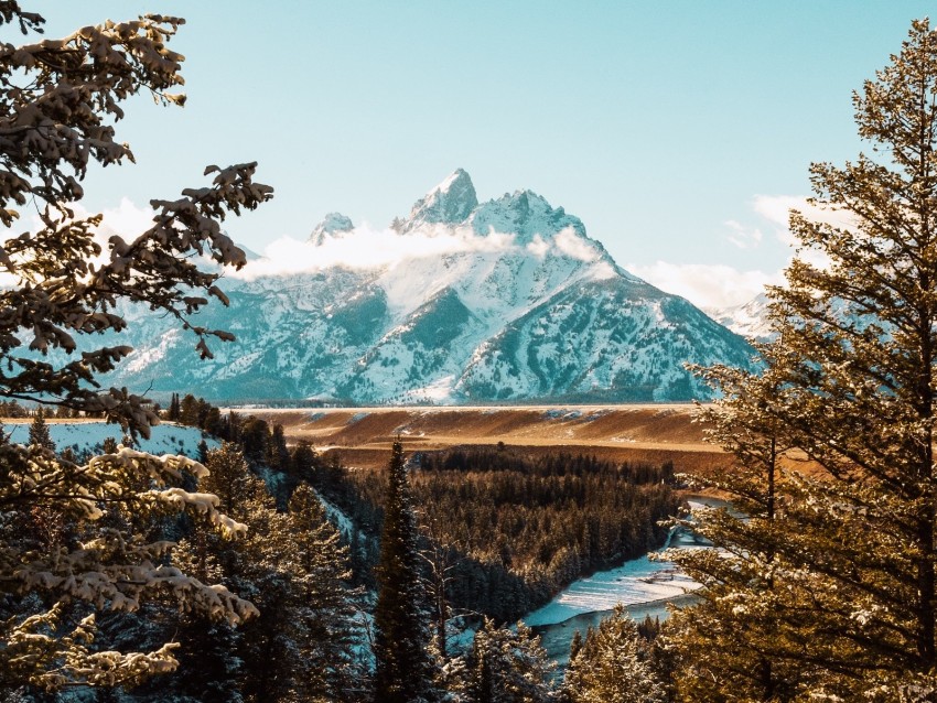 Mountains Trees Peaks Branches Landscape Background