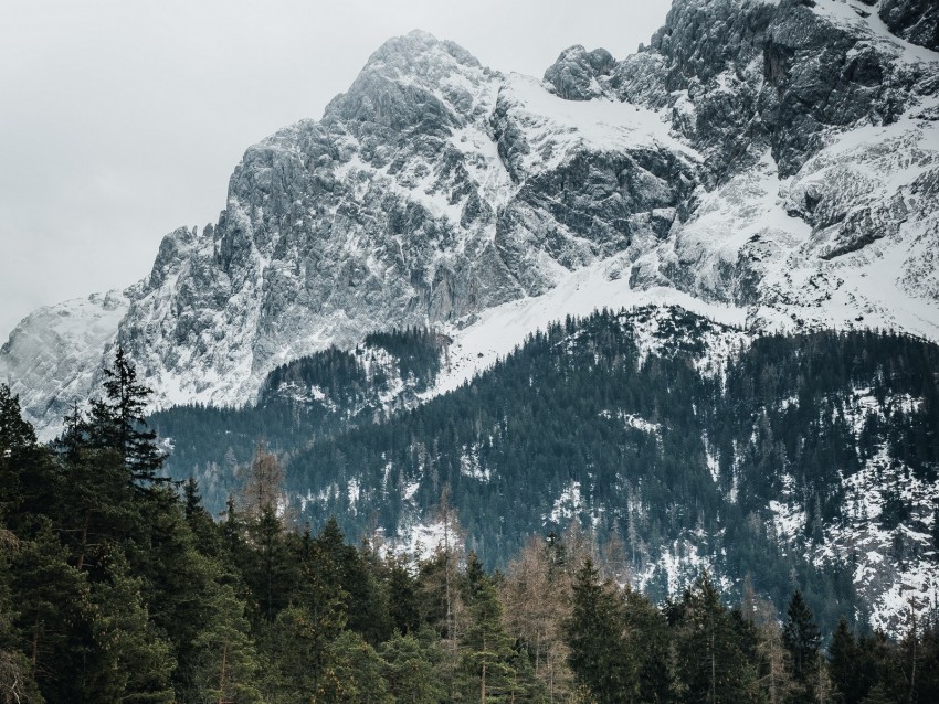 mountains, trees, peaks, snowy, germany