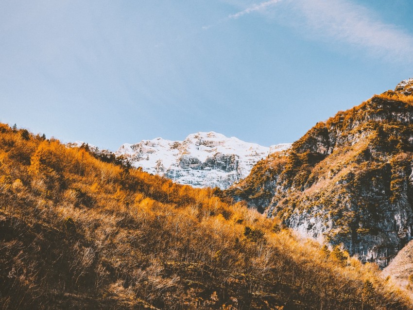 mountains, trees, slopes, landscape, vegetation