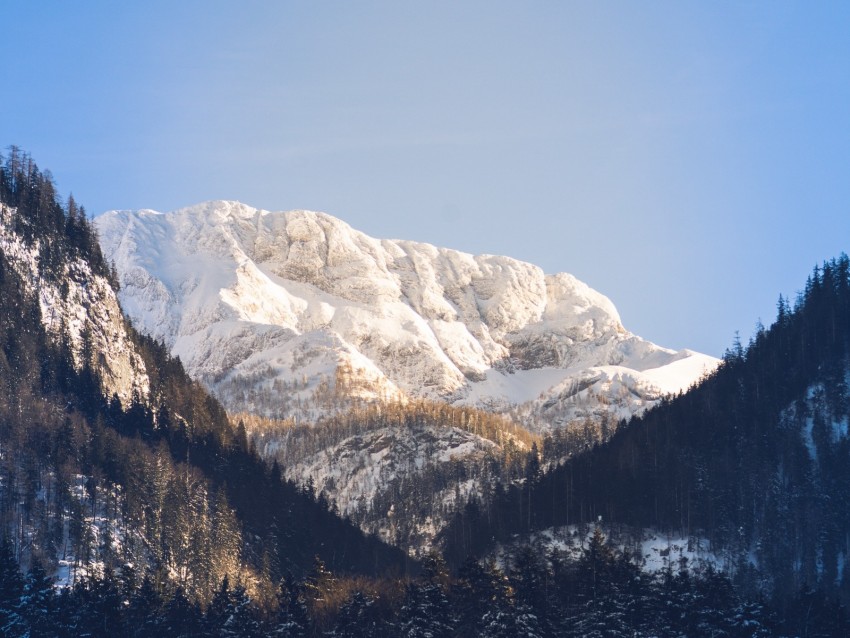 mountains, trees, snow, peak, sky