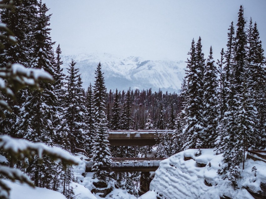 mountains, trees, snow, winter, landscape