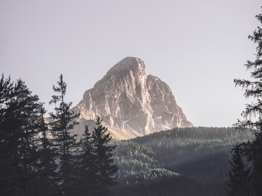 mountains, trees, top, forest, landscape