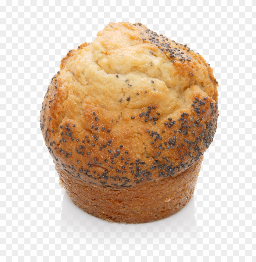 muffin, food, muffin food, muffin food png file, muffin food png hd, muffin food png, muffin food transparent png