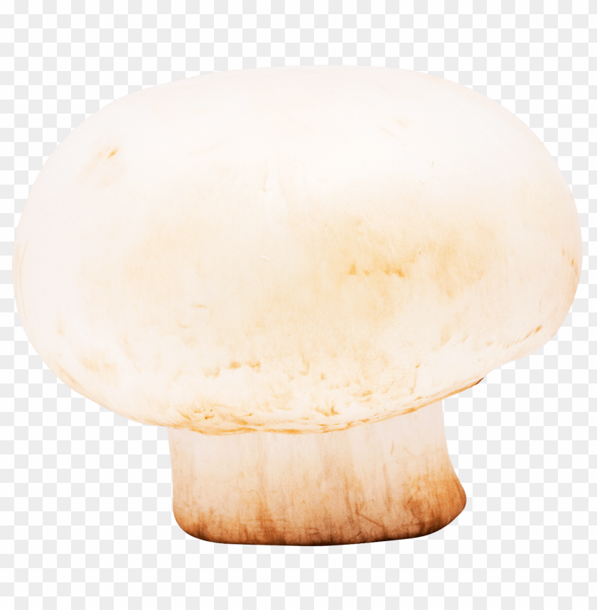 
food
, 
mushroom
