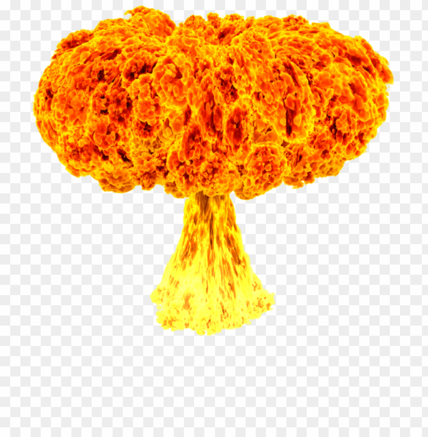 mushroom cloud png, mushroom,png,cloud,mushroomcloud