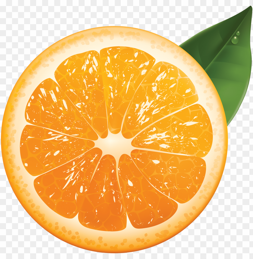 orange, citrus fruit, fresh fruit, healthy snack, orange slice, tropical fruit, vibrant color