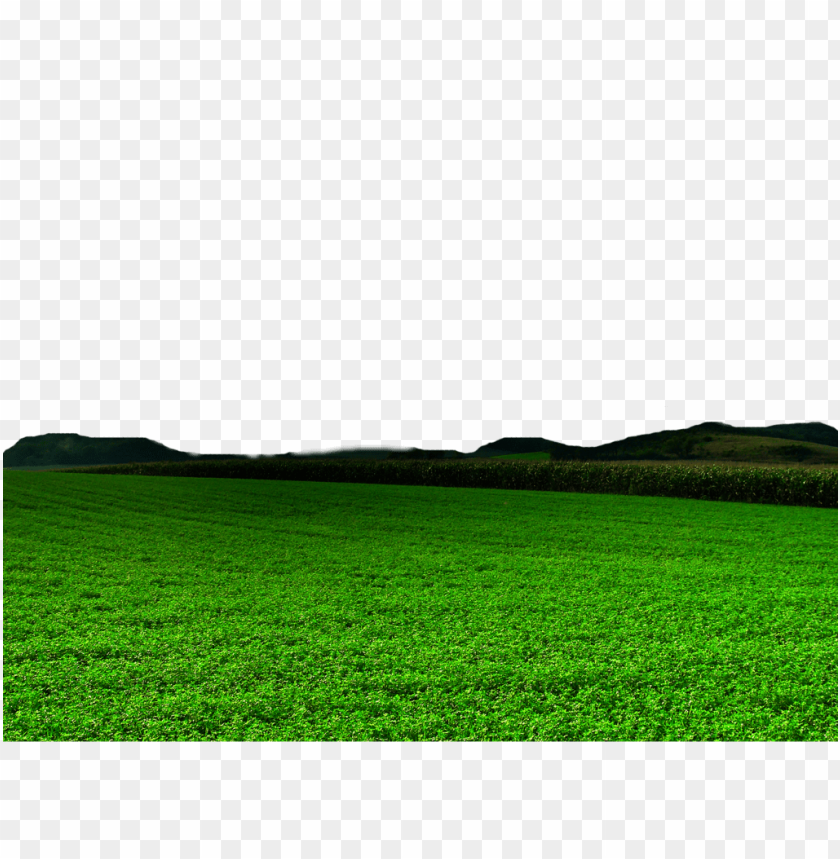 Landscapes, Green fields, Agriculture, Nature, Outdoor