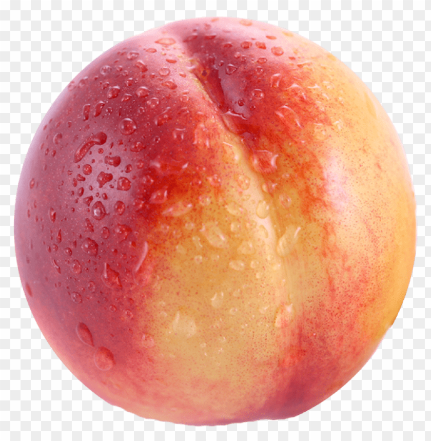 nectarine