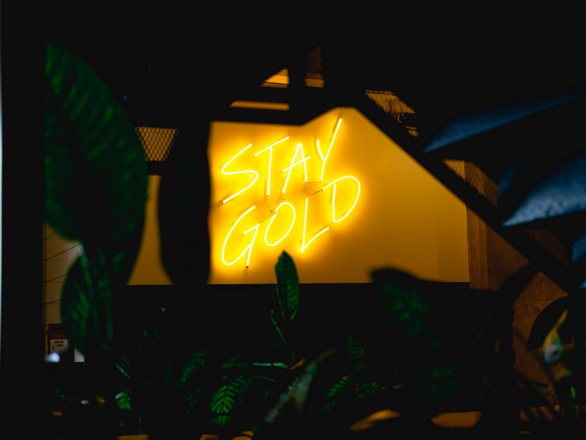 neon, inscription, wall, leaves, backlight