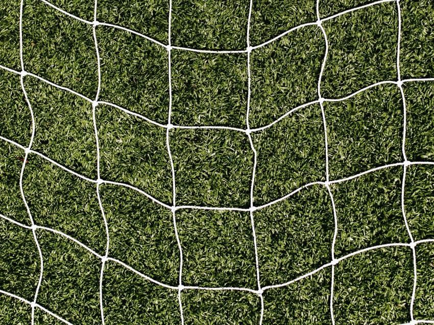 net, grass, lawn, texture