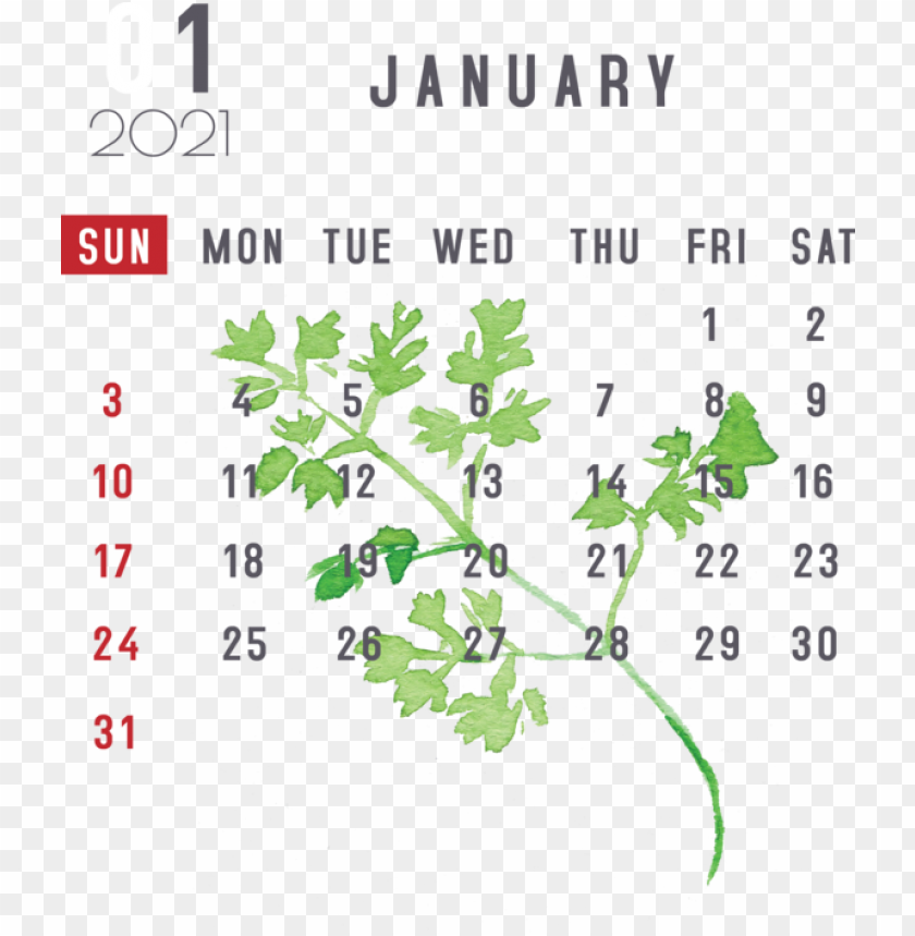 New Year Calendar With January 1st PNG Transparent Background