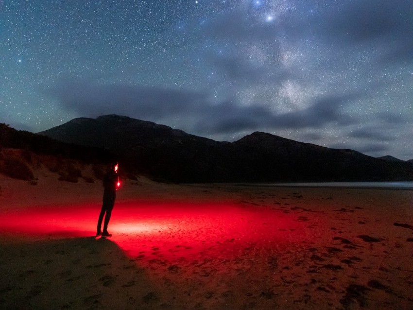 night, beach, silhouette, light, starry sky