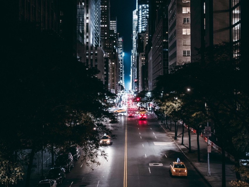 night city, road, trees, movement, new york, usa