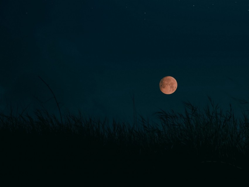 Night Moon Grass Dark Landscape Background